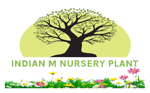 Indian M Nursery Plant Screen 3