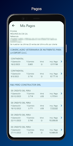 MoliVentas Screen 3