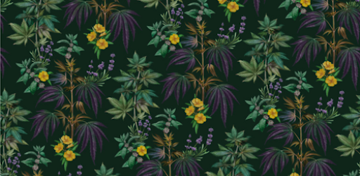 Botanical Sciences