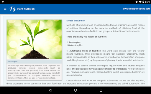 Plant Nutrition Screen 2