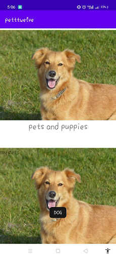 Android application Pet bread information screenshort