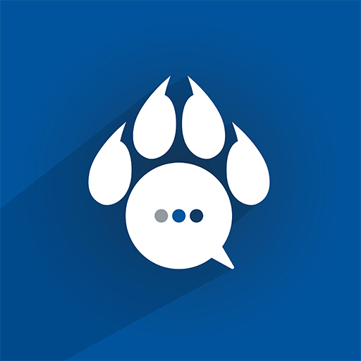Wildcats Connect for C-SC logo