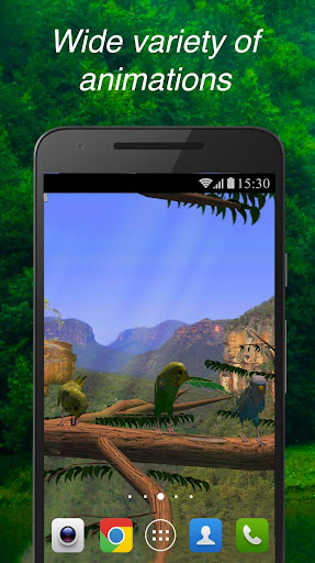 PRO Parrots 3D Live Wallpaper Screen 3
