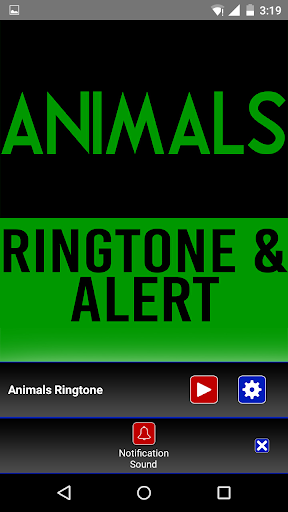 Animals-Maroon 5 Ringtone