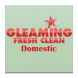 Gleaming Fresh Clean Domestic icon