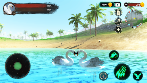 The Swan Screen 3
