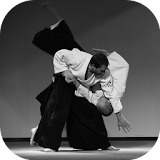 Aikido Lessons icon