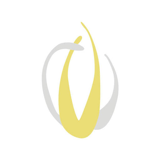 Partnerzy marki Łazur logo