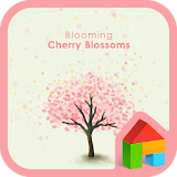 blooming cherry blossoms dodol icon