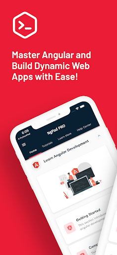 Screenshot of Learn Angular: AngularDev PRO