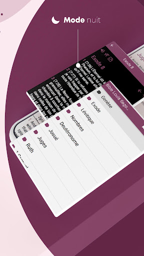 Bible Louis Segond avec audio Screen 3