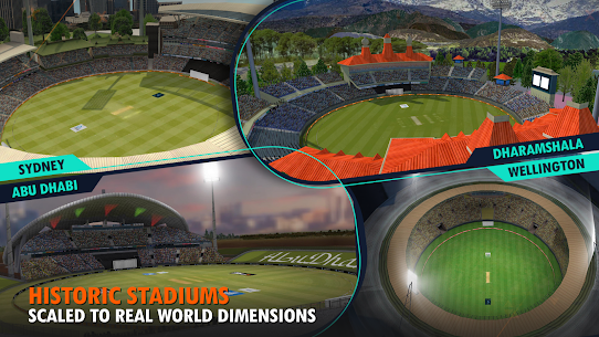 Real Cricket™ 24 5