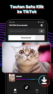 Download Video Tiktok - saver