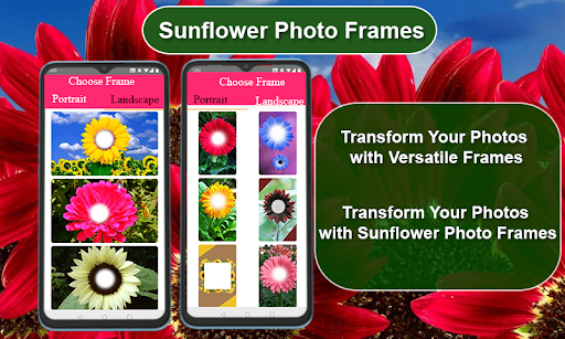 Android application Sunflower Photo Frames screenshort