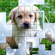 Top 29 Casual Apps Like PicPu - Dog Picture Puzzle - Best Alternatives