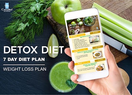 Detox Diet Plan 3