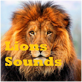 Lions Sounds icon
