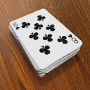 Crazy Eights - the card game icon