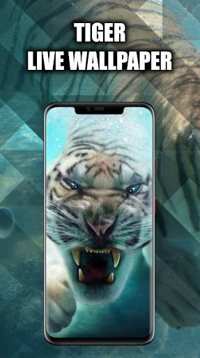 Android application White Tiger Wallpaper Live HD screenshort
