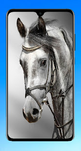 Horse Wallpaper 4K 1.05 APK screenshots 7
