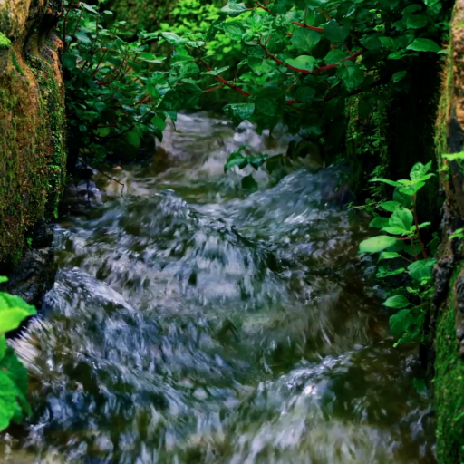 3d Nature Live Wallpaper logo