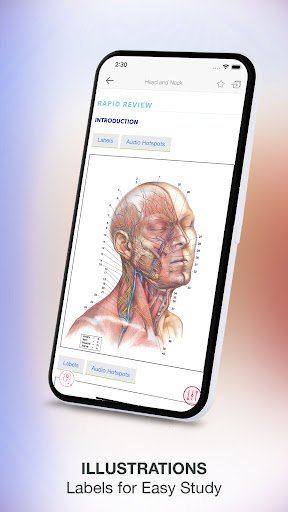 Rapid Review Anatomy Guide Screen 3