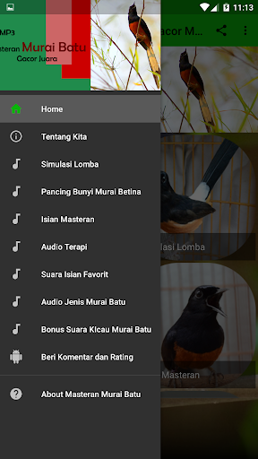 Masteran Murai Batu Gacor MP3 Screen 3