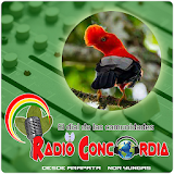 Radio Concordia de Arapata icon