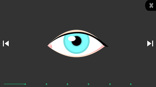Screenshot of Eyes recovery PRO