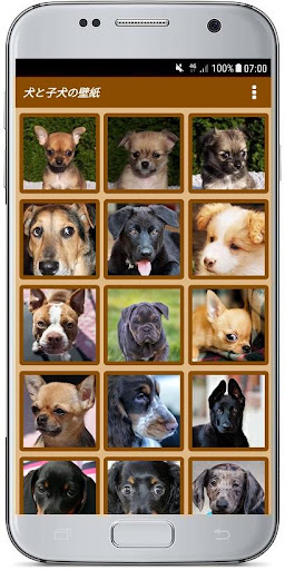 犬と子犬の壁紙 By Hamm Technology Systems Google Play 日本 Searchman アプリマーケットデータ