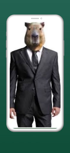 capybara wallpapers HD Screen 3