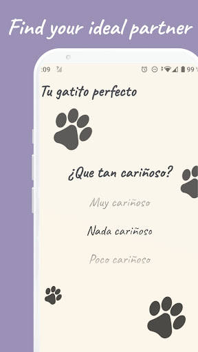 Your perfect cat Screen 3