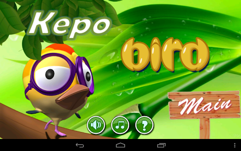 Kepo Bird
