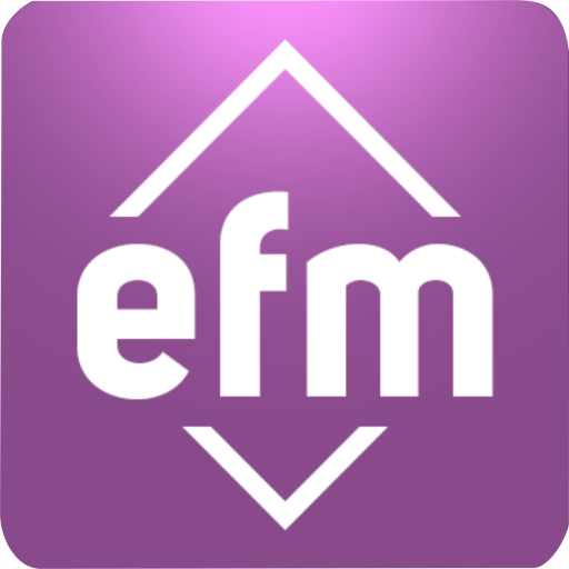 EfmAudit logo