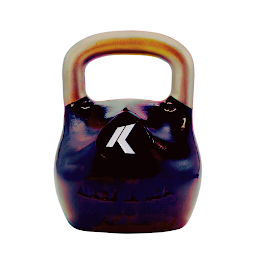 Icon image Pro Kettlebell Workouts