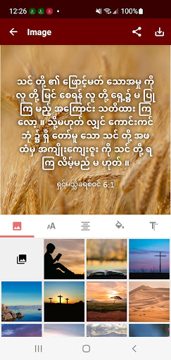 Screenshot of Burmese MS Bible