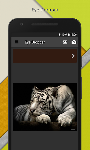 Color Lab Screen 3