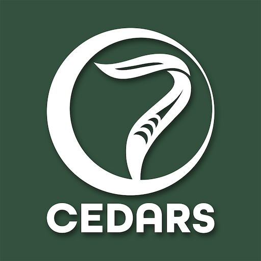 7 Cedars Download on Windows