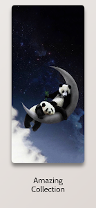 Cool Panda Wallpaper HD