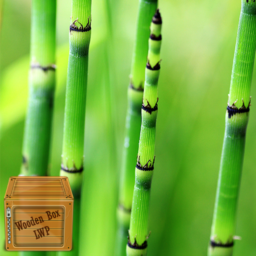 green bamboo wallpaper logo