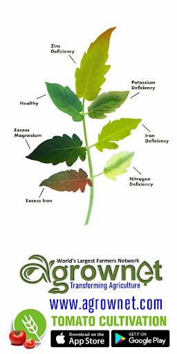 Agrownet™ Screen 3