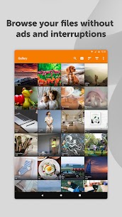 Simple Gallery Pro MOD APK (Ad-Free/Unlocked) 8