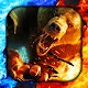 Bear Live Wallpaper