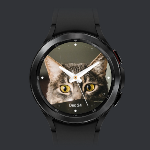 Cat Watch Face 1.0.0 Icon