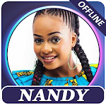Cover Image of Download Nandy songs 1.0 APK