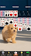 screenshot of Solitaire: Classic Card Game