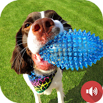 Cover Image of Download Squeaky Toy Sounds  APK