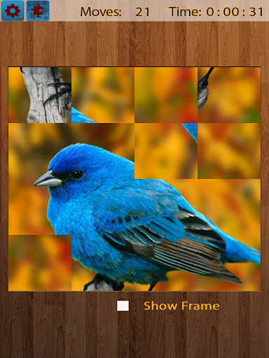 Birds Jigsaw Puzzles Game