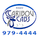 Caribou Cabs