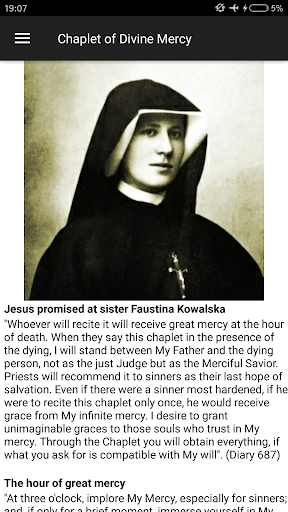 Chaplet of Divine Mercy Screen 3